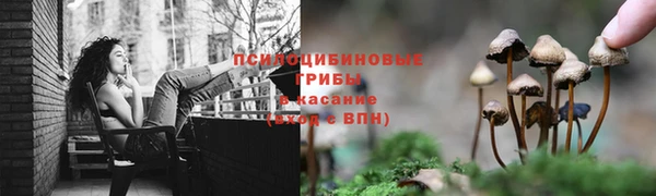 трава Абдулино