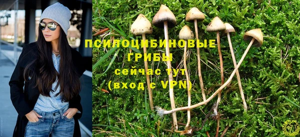трава Абдулино