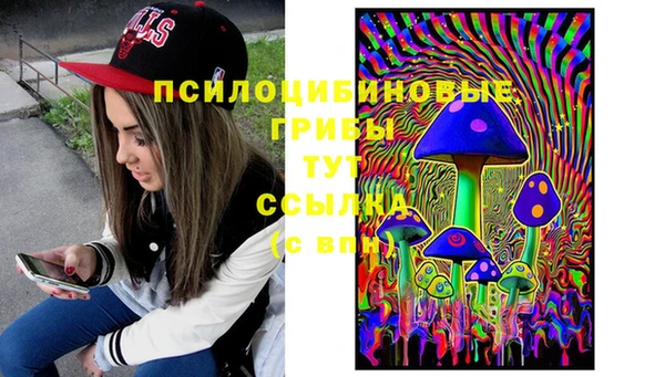 прущая мука Абаза
