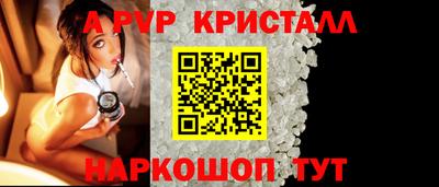 стаф Нальчик