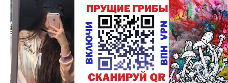 Галлюциногенные грибы Psilocybe  Отрадное 