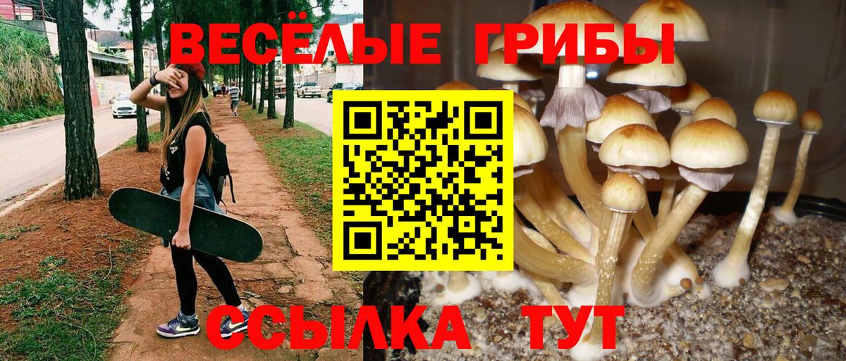 Галлюциногенные грибы GOLDEN TEACHER Отрадное